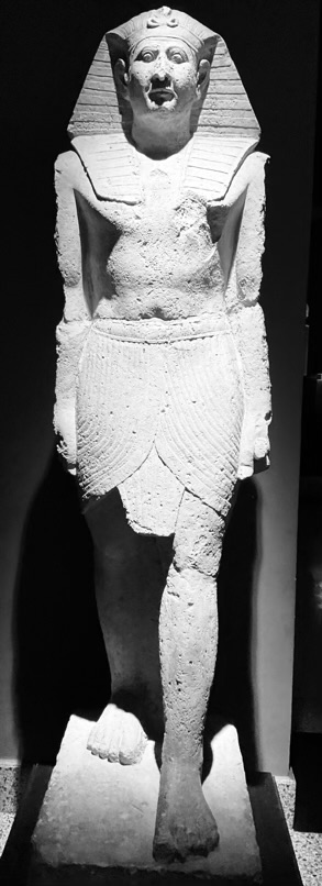 Alexandria, Graeco-Roman Museum 22979